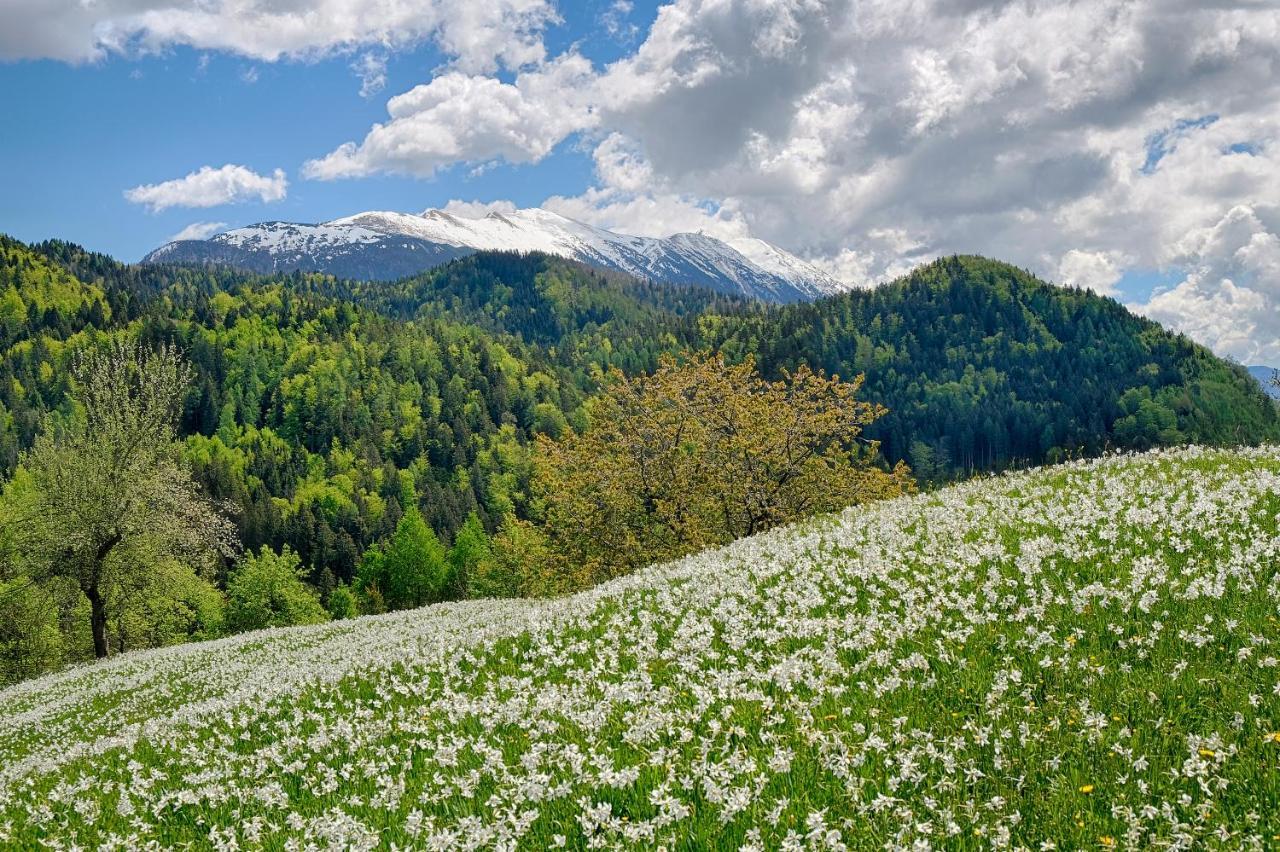 Apartments Pri Fencu Jesenice Buitenkant foto
