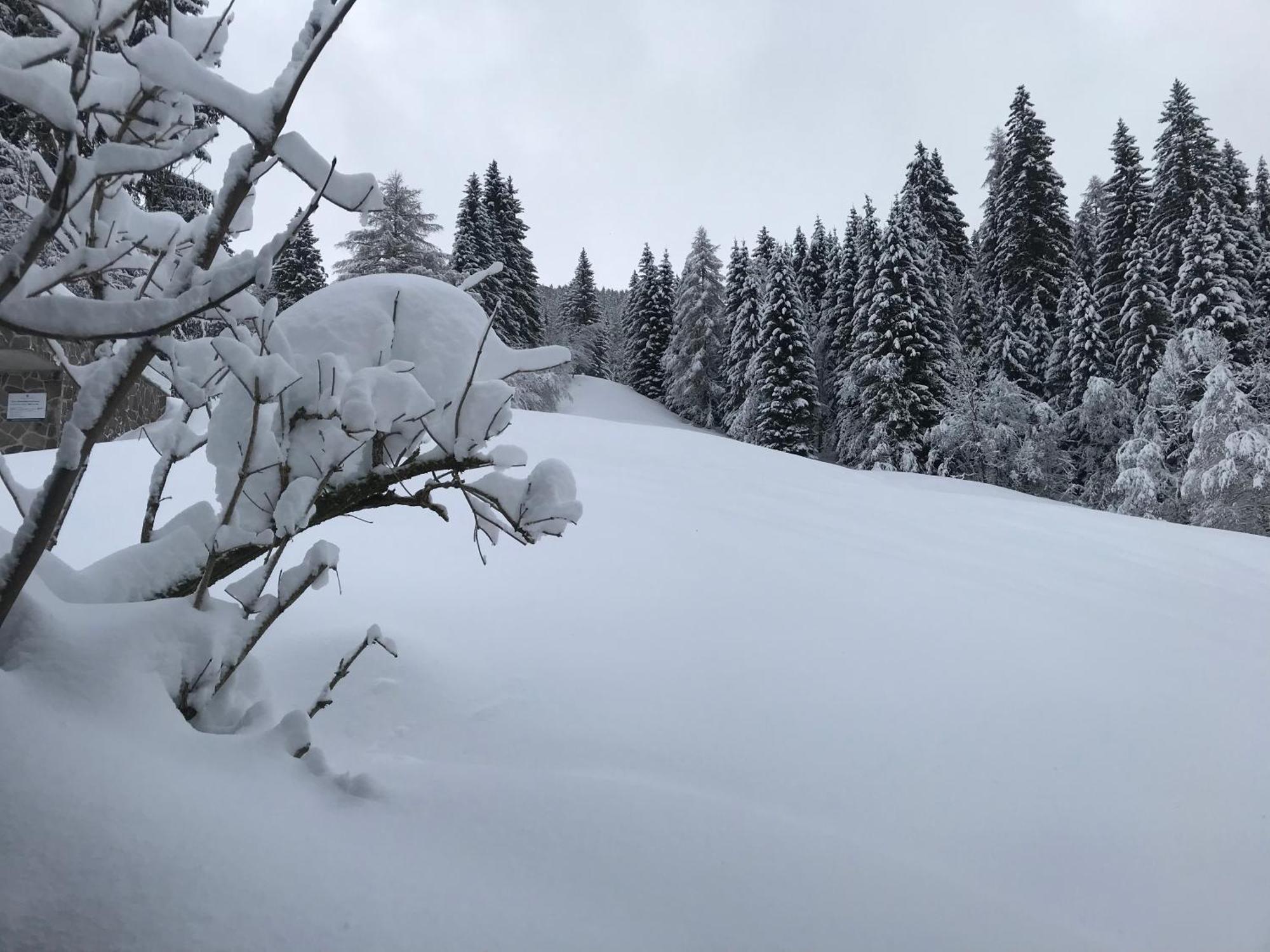 Apartments Pri Fencu Jesenice Buitenkant foto