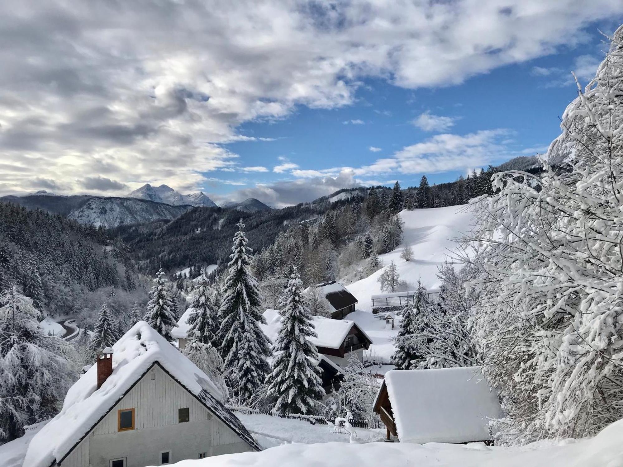 Apartments Pri Fencu Jesenice Buitenkant foto